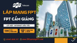 FPT Cẩm Giàng